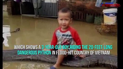 Video of 3-year-old riding 20-feet-long python will terrify you