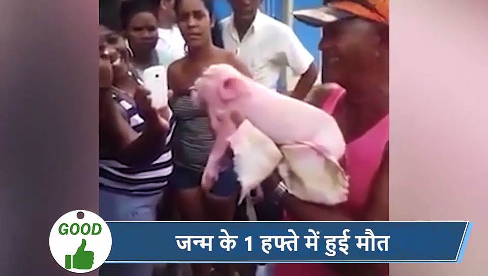 5 वायरल खबरें: प्रेग्नेंट महिला को किसी ने नहीं दी कुर्सी, पति ने कहा मेरी पीठ पर बैठ जाओ...