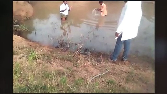 Dalits abused and tortured for questioning Neta