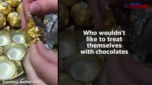 Chocolates having live insects inside will disgust you