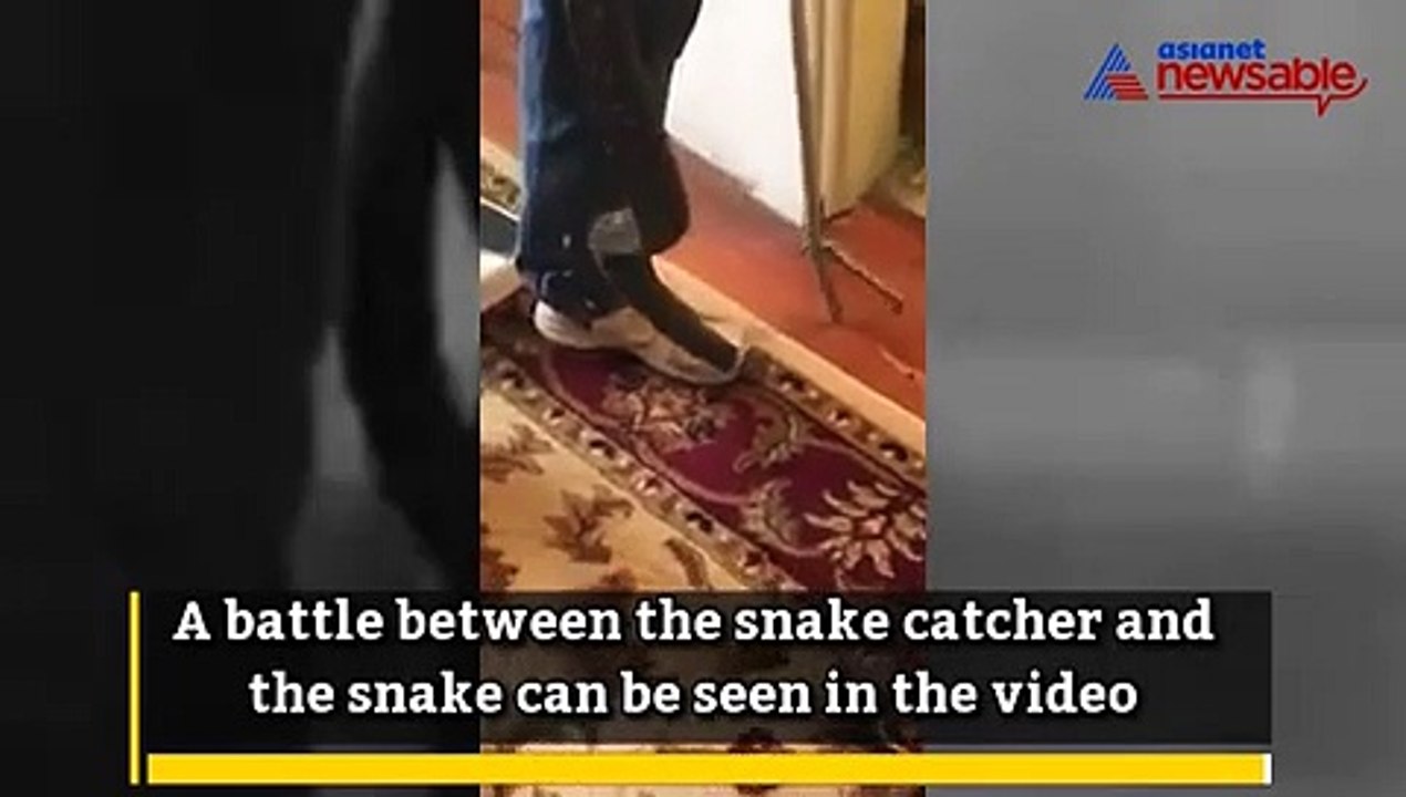 Looks like  snakes have found a new abode in 'commodes'