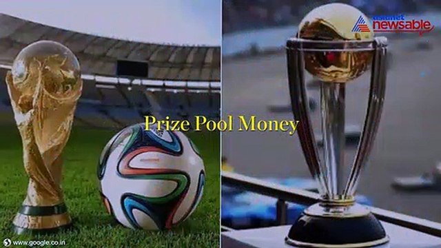 FIFA World Cup vs Cricket World Cup