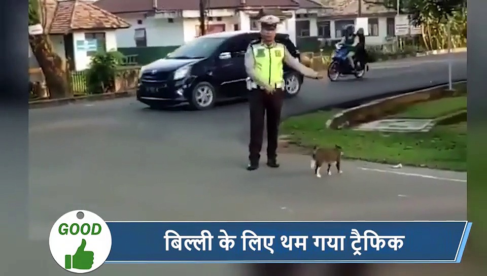 5 वायरल खबरें: मसीहा बना पुलिस कॉन्स्टेबल, महिला को चलती ट्रेन के नीचे आने से बचाया