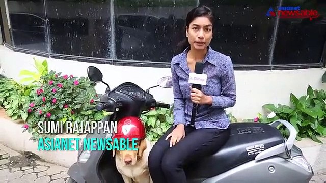 Imagine when a dog teaches you the traffic rules through barks and paws!