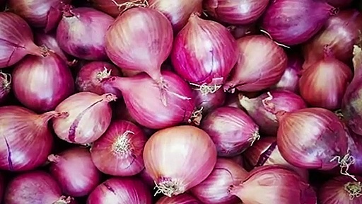 दिल्ली में प्रदूषण पर हाईकोर्ट में सुनवाई से प्याज की बढ़ती कीमतों तक, देखिए देश दुनिया की खबरें 100 सेकेंड्स में