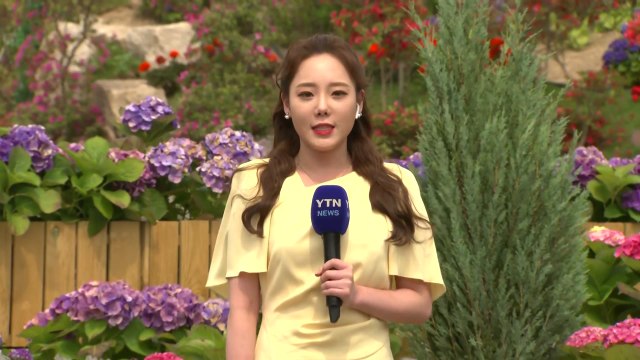 [날씨] 강원, 영남 30℃, 곳곳 소나기...내일 맑고 낮 더위 / YTN