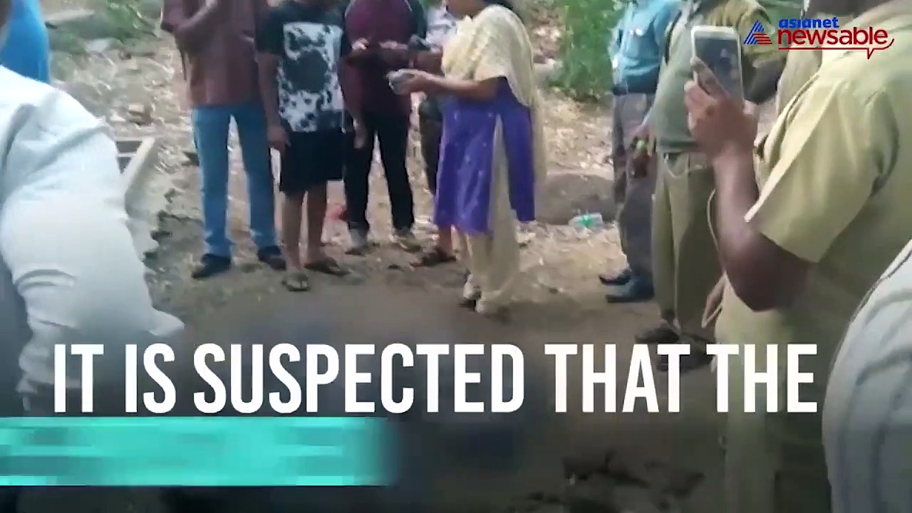 700 pigeons poisoned to death in Basavanagudi