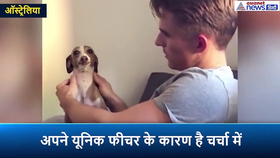 बीमारी के कारण हुआ कुत्ते का ऐसा हाल, मुंह से बाहर लटकी रहती है जीभ