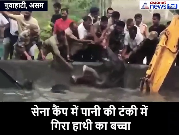 बच्चे की जान बचाने पानी के टैंकर में कूदी हथिनी, इमोशनल करने वाला वीडियो