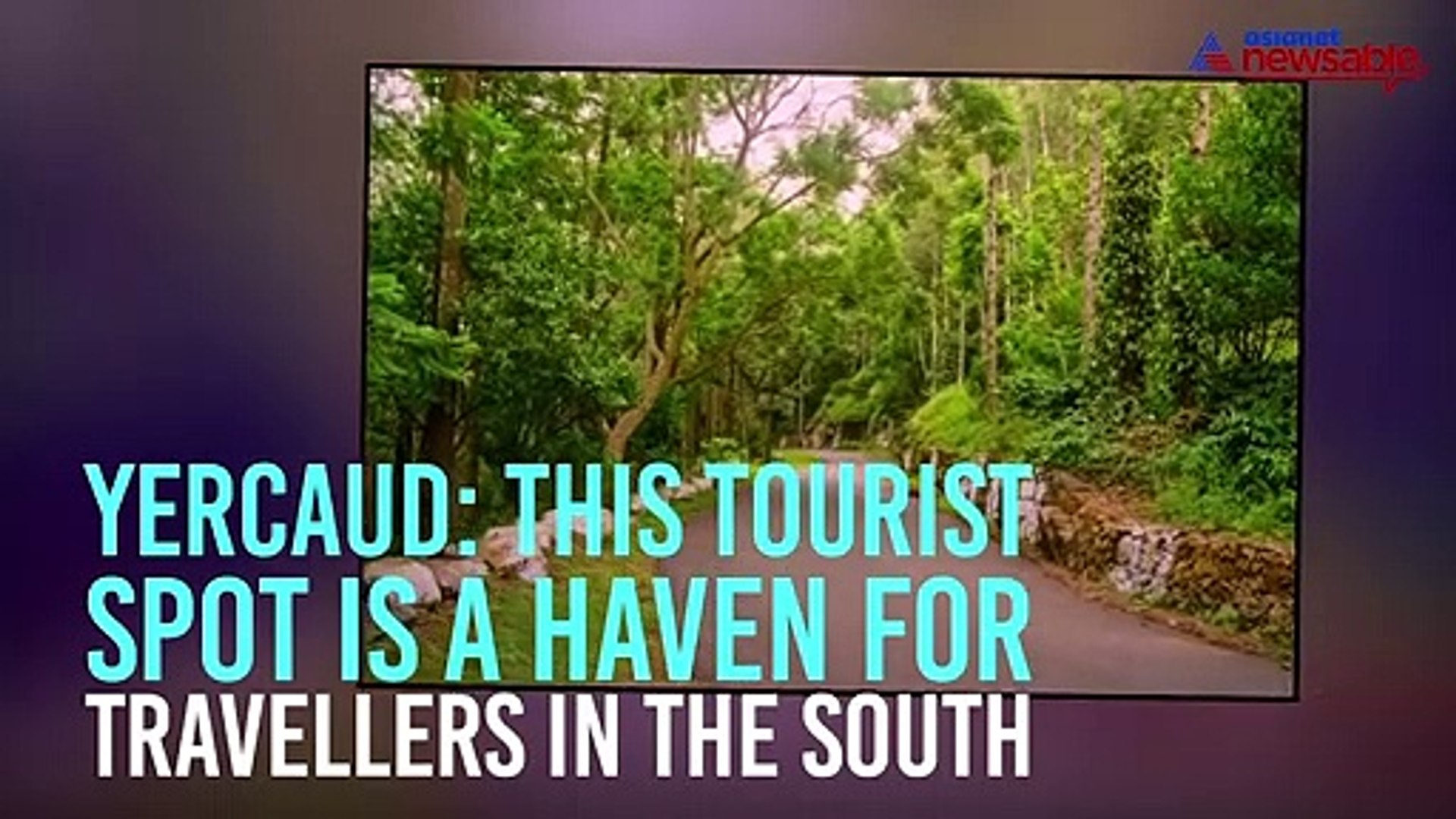 TGIF road trip video NEWSABLE
