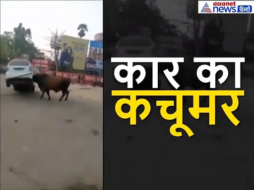 आ देखें जरा, किसमें कितना है दम, सांड V/s कार और मैन V/s सांड