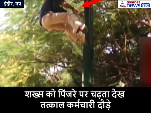 बाघ के पिंजरें में शख्स करता रहा कूदने की कोशिश, बताई ये वजह