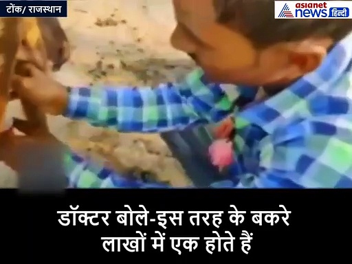 लाखों में एक है यह बकरा, इसकी खासियत जान डॉक्टर भी हैं हैरान