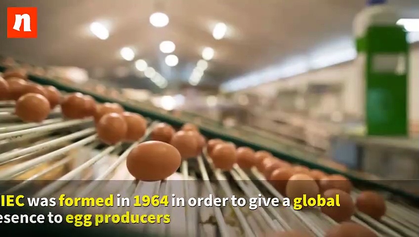 Fried, scrambled or poached: Here's why you should eat eggs (Video)