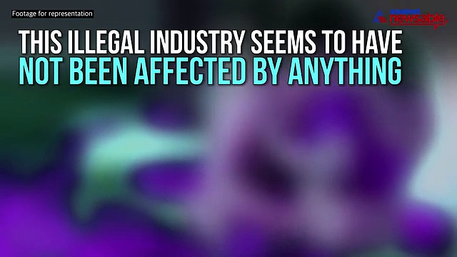 Paytm can now be used to pay for sex