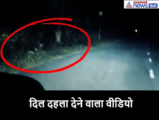 रात में सड़क पर घात लगाए बैठा था तेंदुआ, बाल-बाल बचे दो बाइक सवार