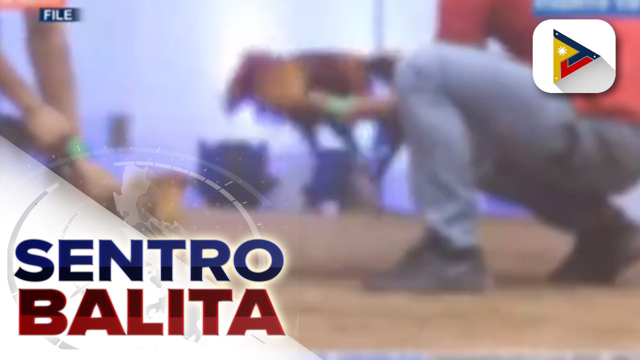 PNP, pinaigting pa ang crackdown vs. e-sabong; Pulis na nangmaliit sa mga tauhan ng BFP, sinibak na