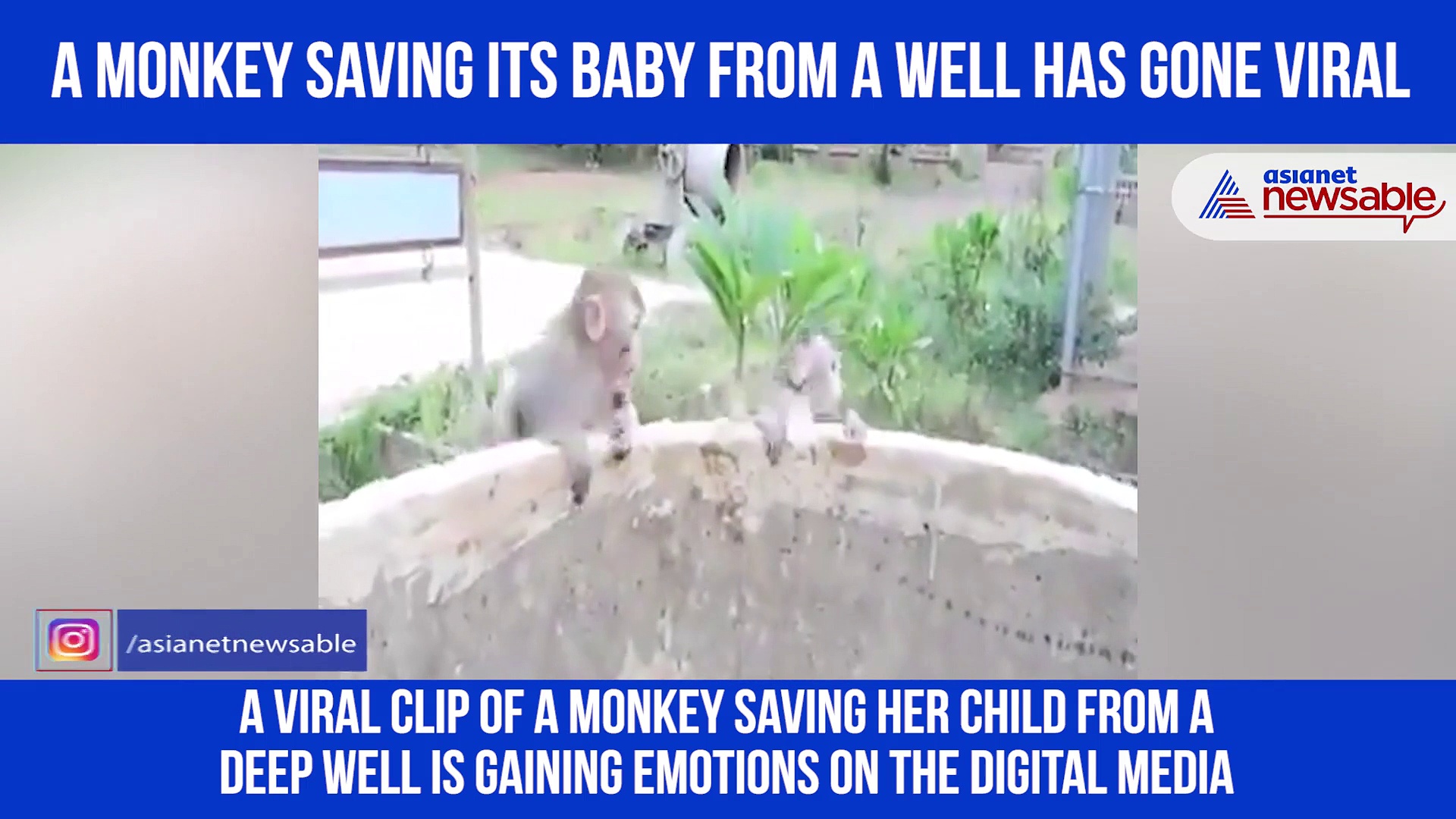 Viral video: Monkey saves its baby from well