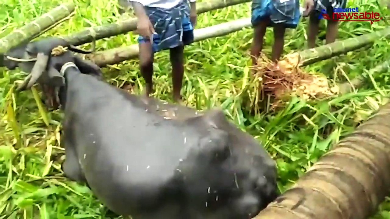 Tumakuru rain
