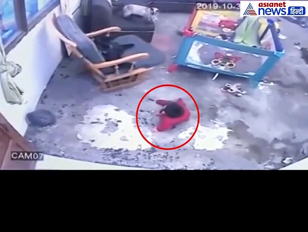 घुटनों पर चलते हुए सीढ़ियों के पास पहुंचा बच्चा, बिल्ली ने यूं यमराज को दी मात