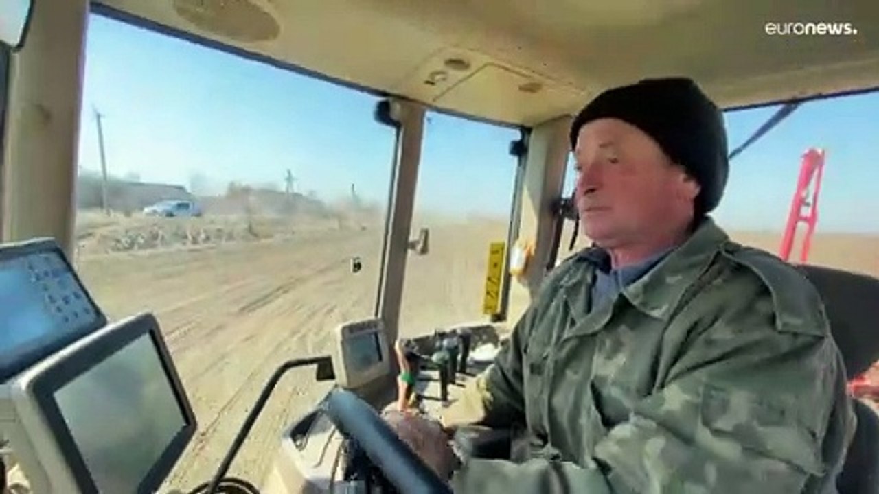 Weizenkrise in der Ukraine einfach umfahren? Deutschland rauscht voran