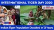 International Tiger Day 2020: India’s Tiger Population Has Doubled In 12 years
