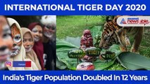 International Tiger Day 2020: India’s Tiger Population Has Doubled In 12 years