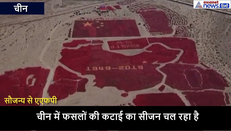 किसानों की अनोखी देशभक्ति, हजारों किलो लाल मिर्च से बना दिया देश का झंडा और नक्शा