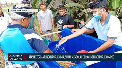 Olah Jerami Jadi Pupuk Kompos