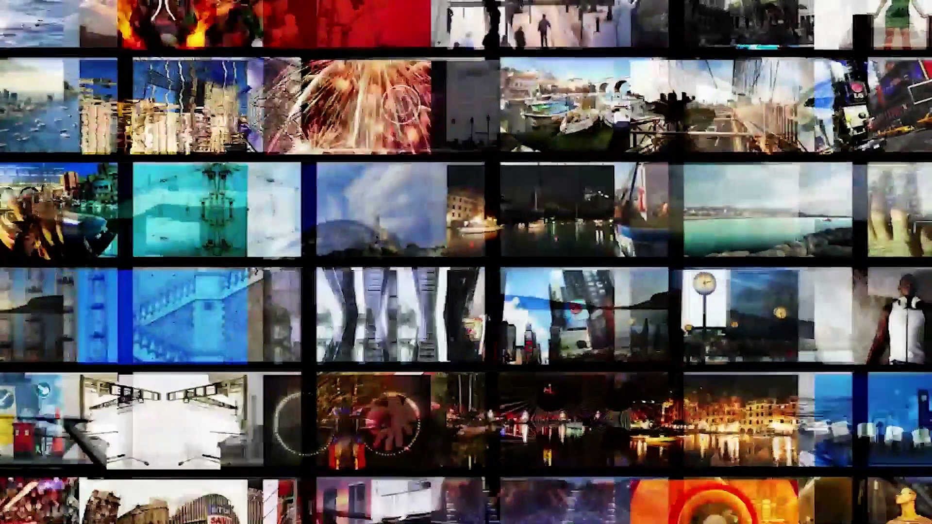 The fly that became star of the US vice presidential debate