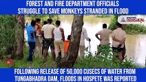 Karnataka rains: Forest and Fire department rescue 20 monkeys stranded in flood