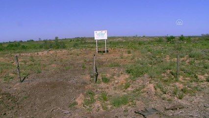 P&G Türkiye'den 35'inci yılında 35 bin ağaç