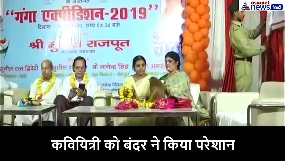 मंच पर छोटे बंदर का हंगामा, महिला के पीछे ही पड़ गया...देखें मजेदार वीडियो