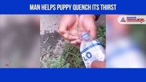 Man helps puppy
