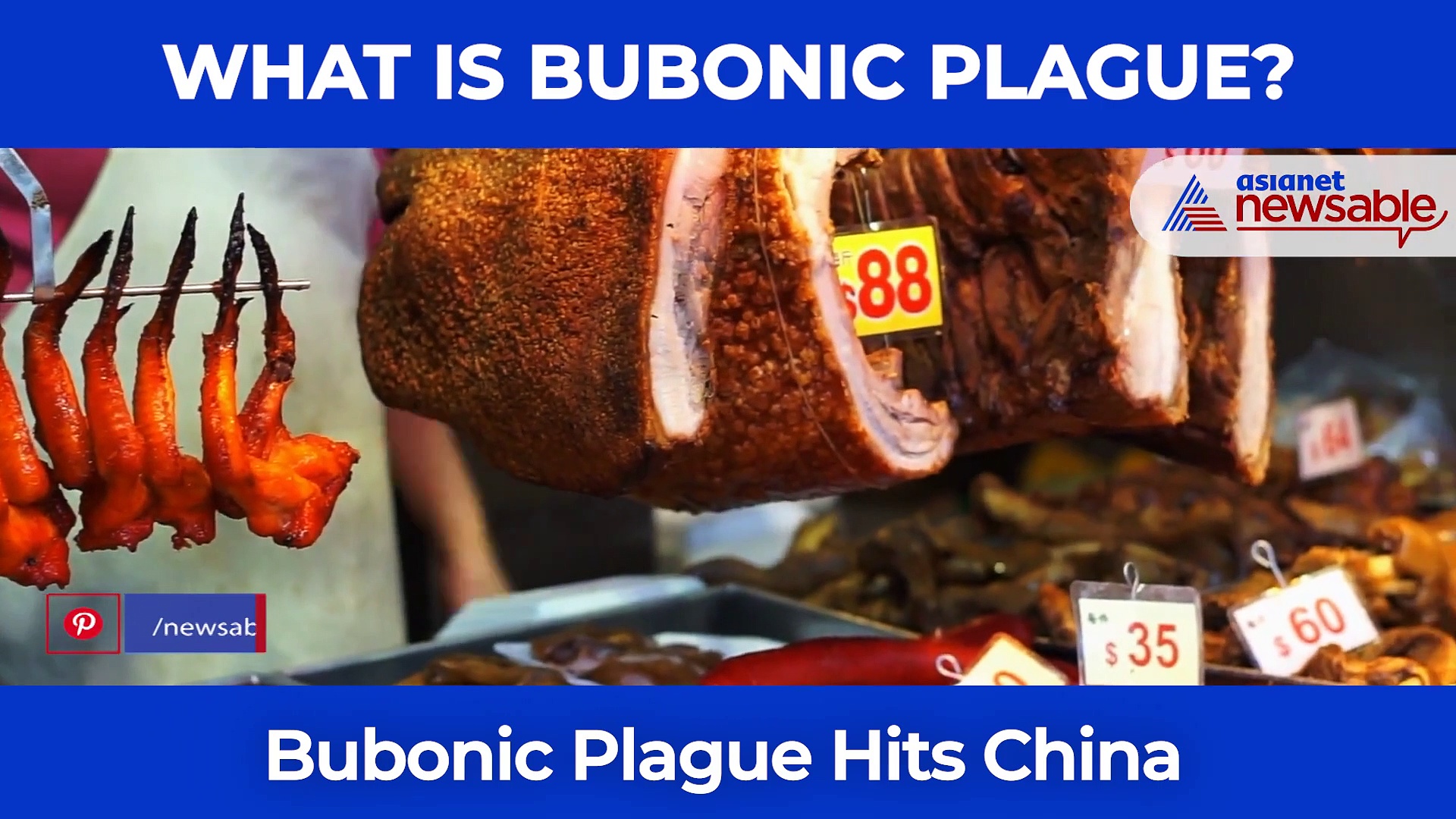 Bubonic Plague Alert In China: What is Bubonic Plague?