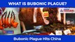Bubonic Plague Alert In China: What is Bubonic Plague