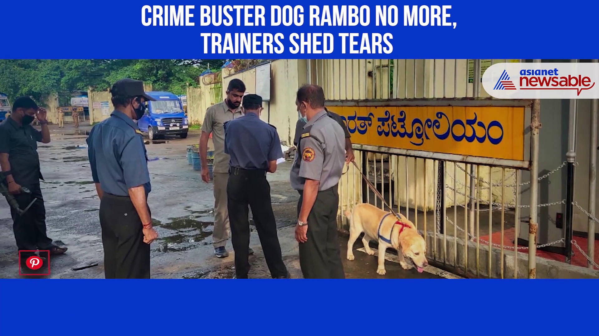Karnataka: Kodagu’s crime buster dog Rambo no more, trainers shed tears