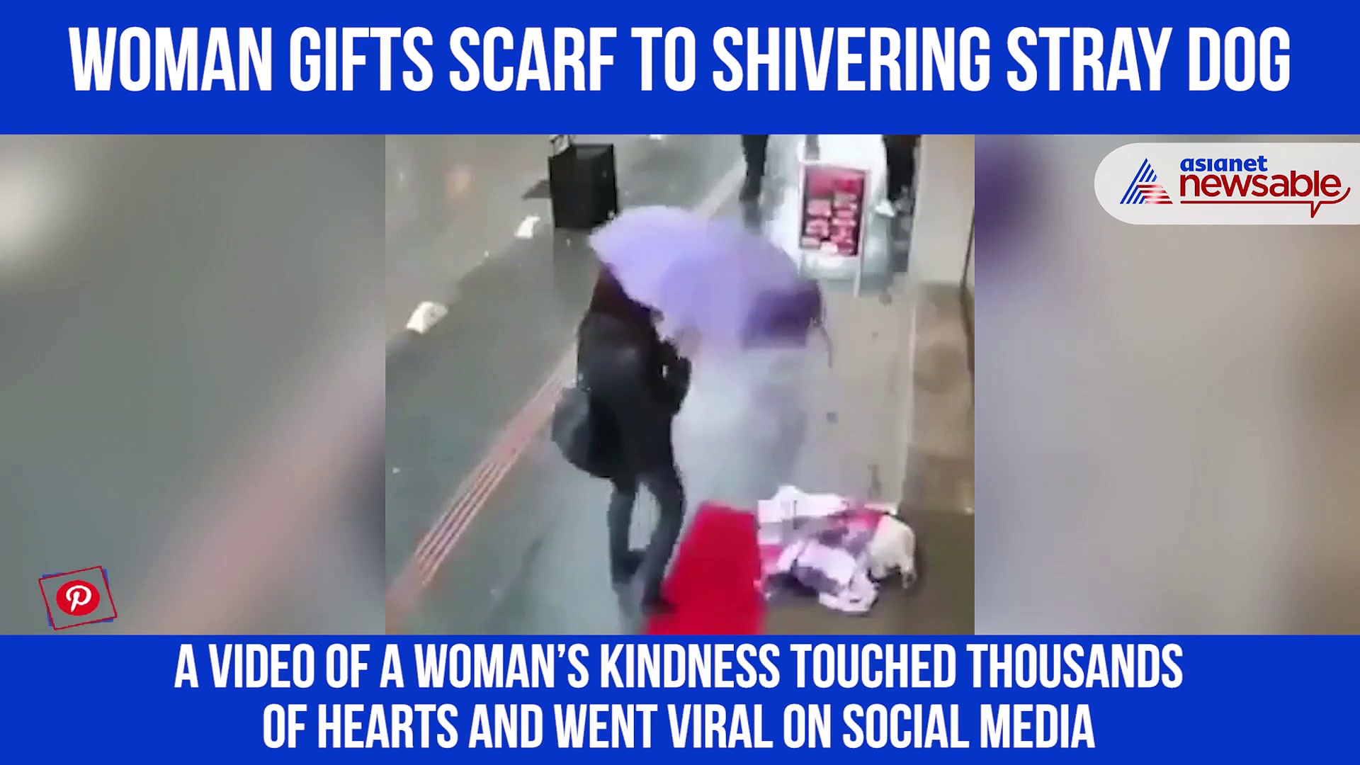 Watch: Shivering stray dog gets heart-warming gift from woman