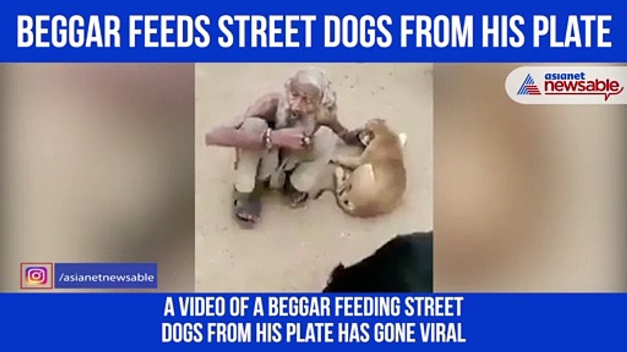 Beggar Feeds