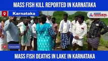 Mass fish death at Karnataka lake raises concern