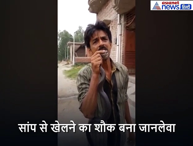 सांप से खेलने का शौक बना जानलेवा, देखें Video