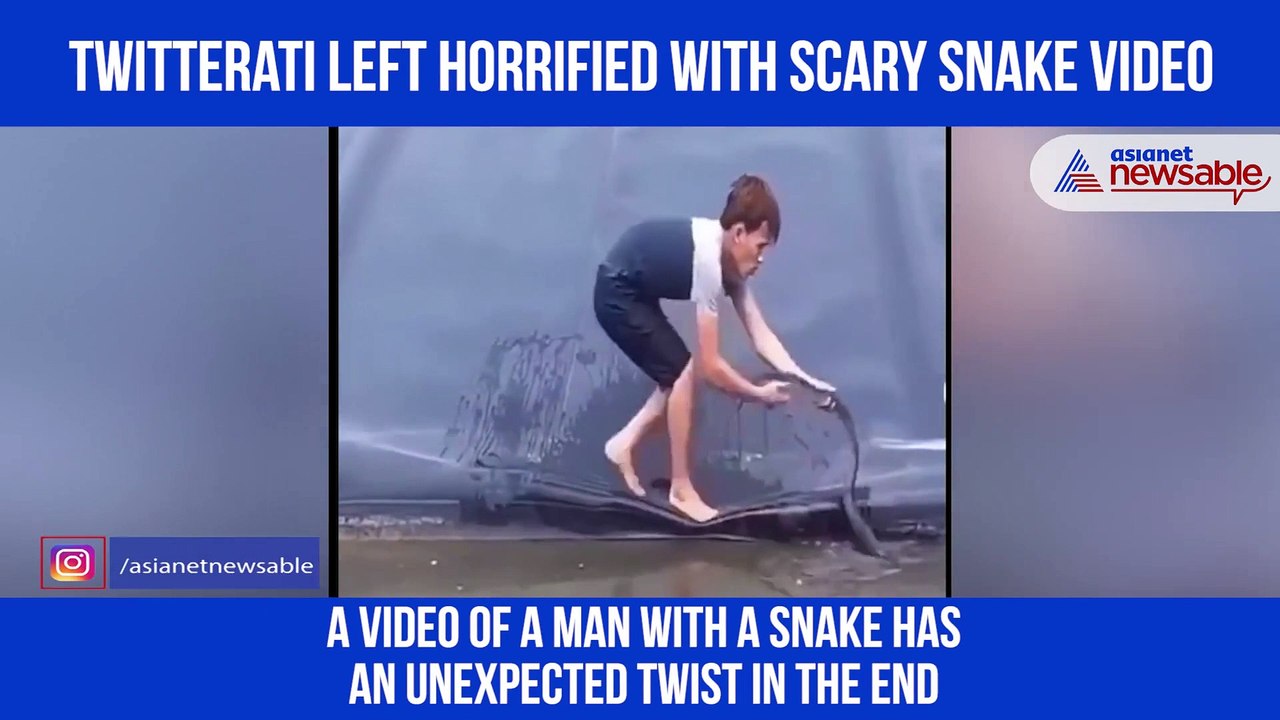Scary snake video