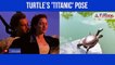 Turtle's Titanic pose