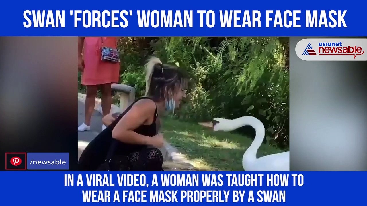 Face Mask