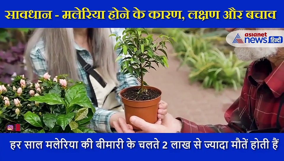 सावधान / मलेरिया होने के कारण, लक्षण और बचाव