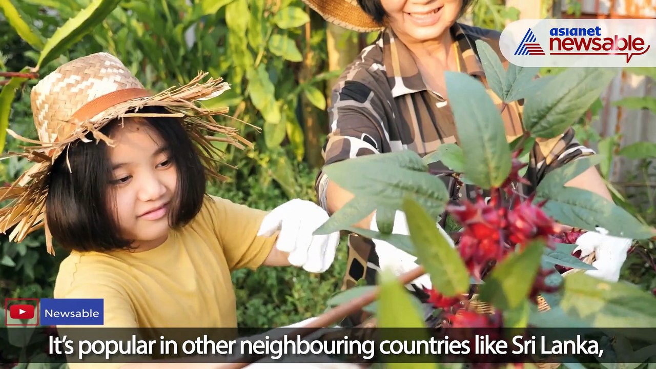 Bullion For A Billion EP01: Betting Big on Ayurveda - The Billion-Dollar Idea That Thrives in India