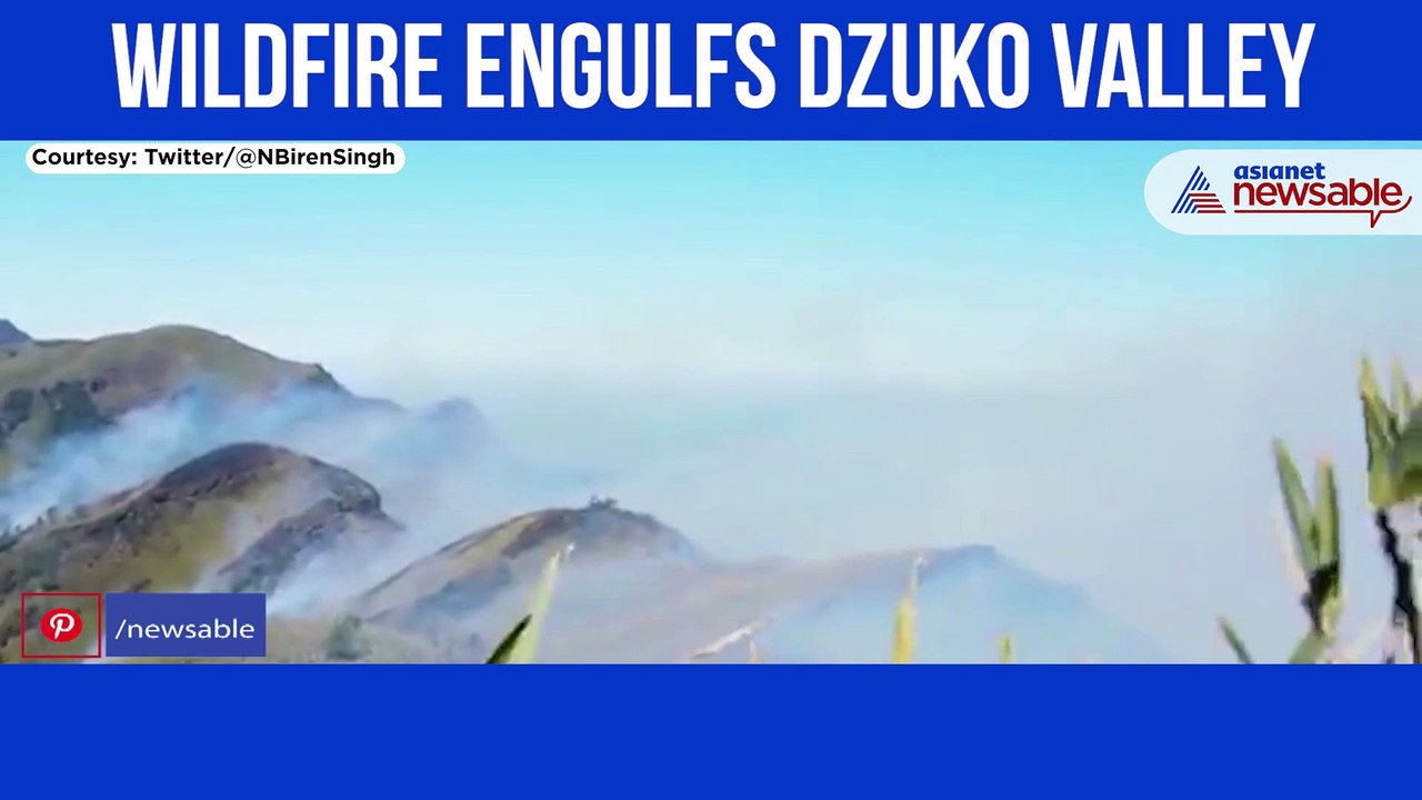 Wildfire