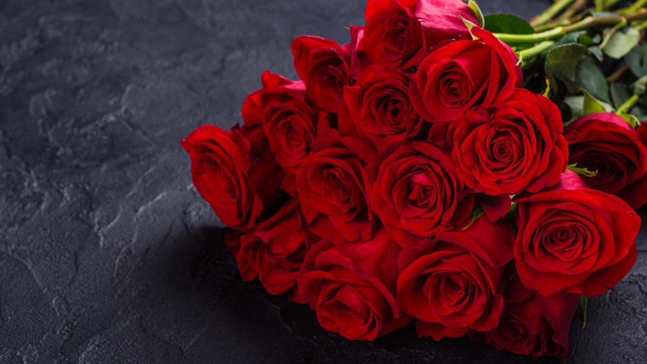 Bachelorette 2022: Ex-'Köln 50667'-Star verteilt Rosen in Thailand