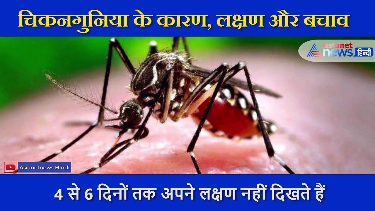 सावधान: चिकनगुनिया के कारण, लक्षण,और बचाव के तरीके