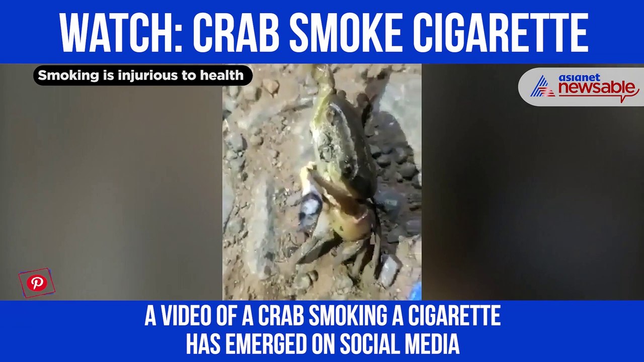Smoking Crab